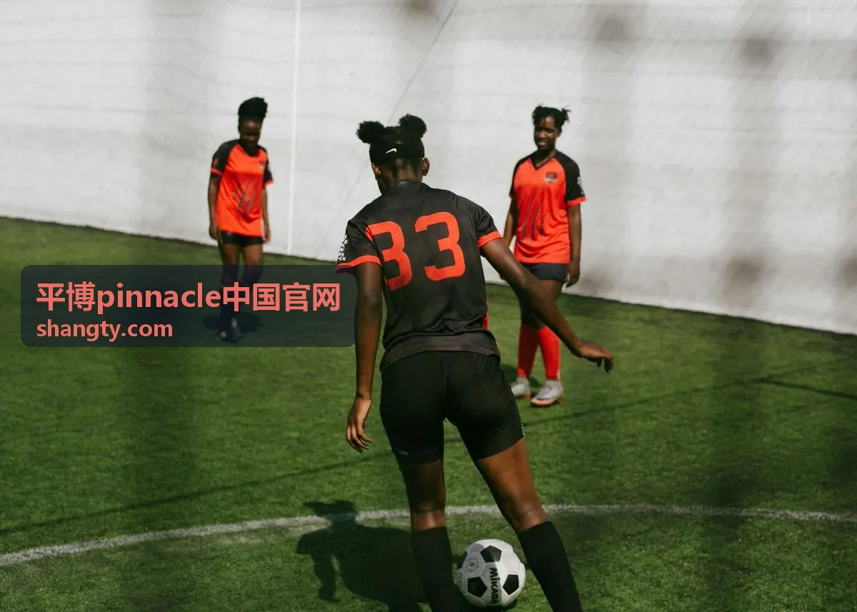 平博Pinnacle中国官网使用指南封面